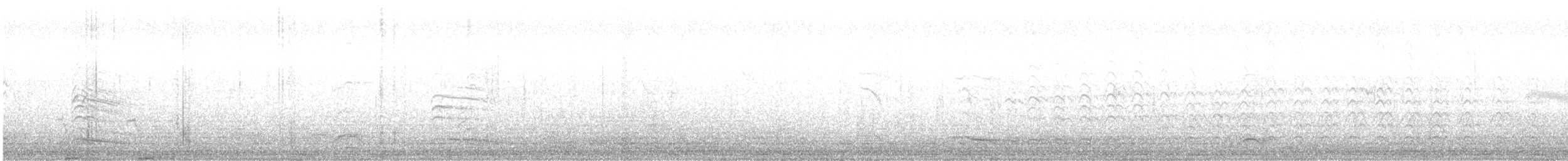 ススケカモメ - ML616514612