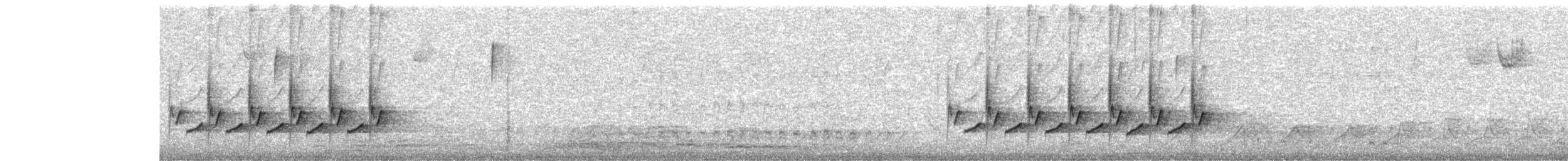 Поплітник каролінський - ML616516472
