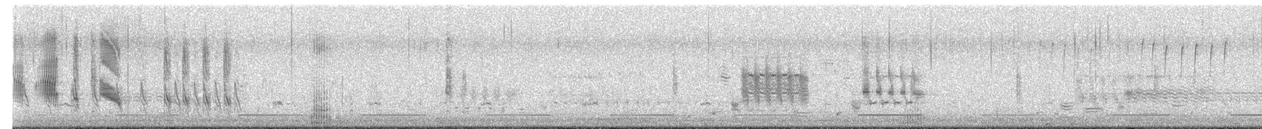 Малая морская чернеть - ML616516535