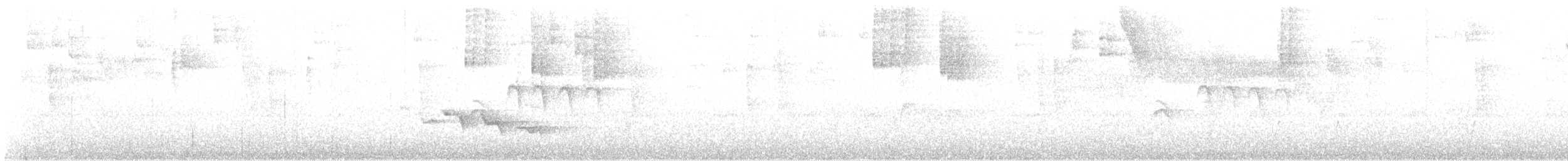 Kara Gagalı Koca Vireo - ML616517534