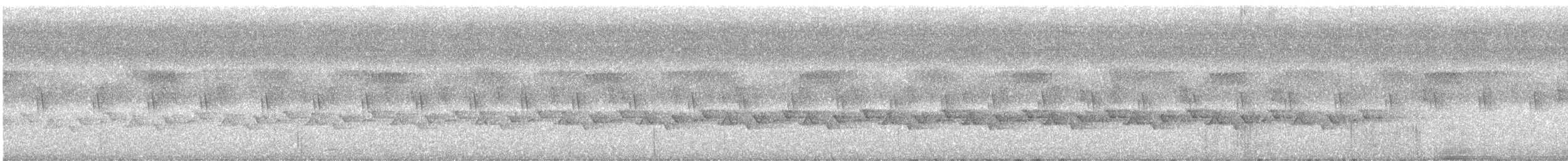 Gray Longbill - ML616518170