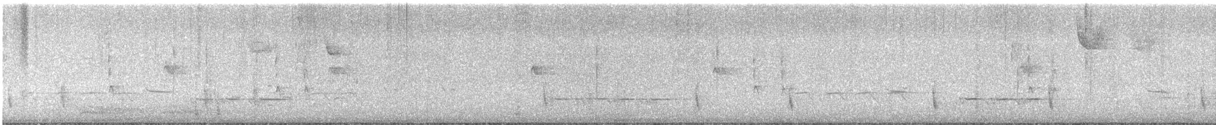 Дрізд-короткодзьоб плямистоволий - ML616519435