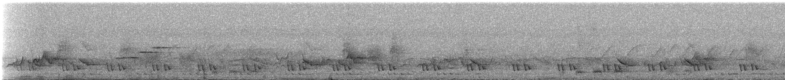 Серый павлиний фазан - ML616520427