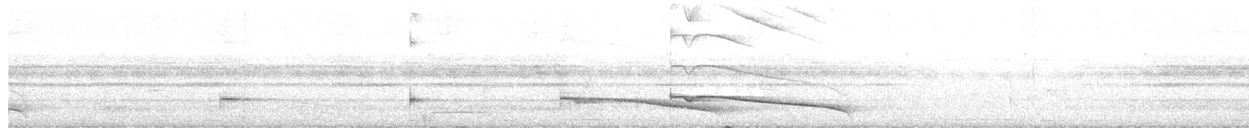 Гигантский рогатень - ML616521264