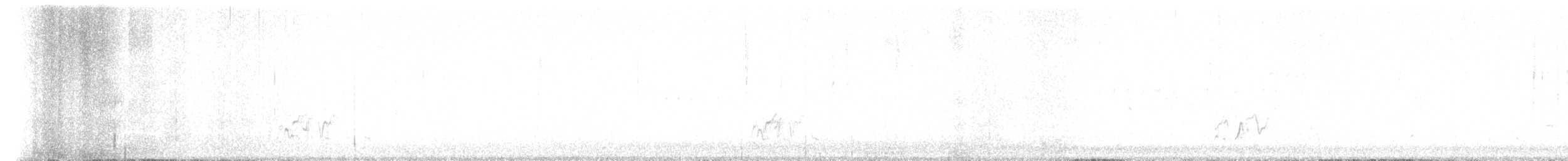 hýl křivčí - ML616521725