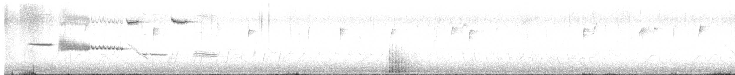 Cassin Serçesi - ML616522209