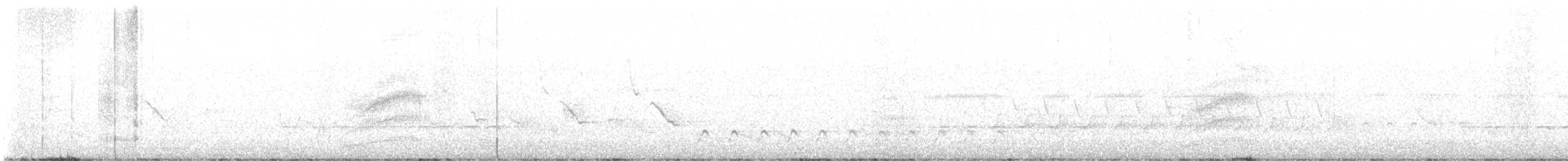 Тауї плямистий - ML616522214