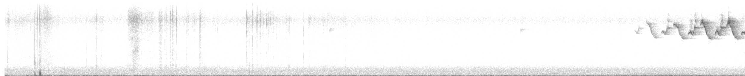 Paruline noir et blanc - ML616522222