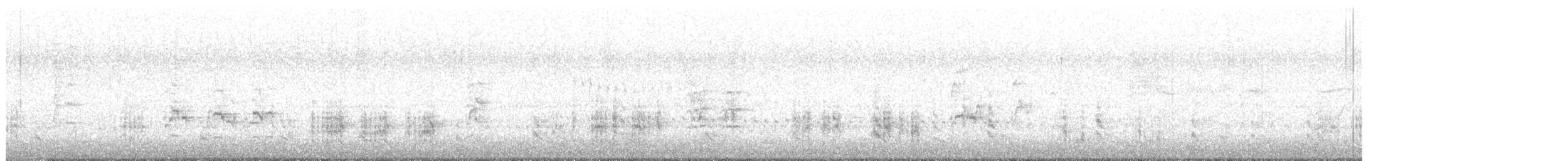 Rousserolle turdoïde - ML616522407