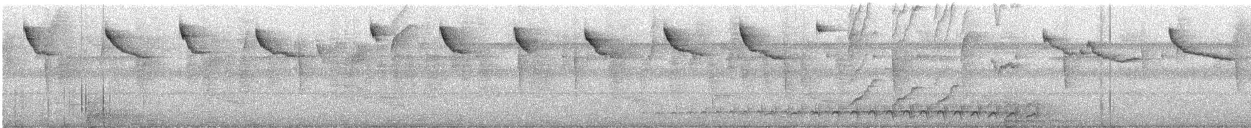 kolibřík malý - ML616522736