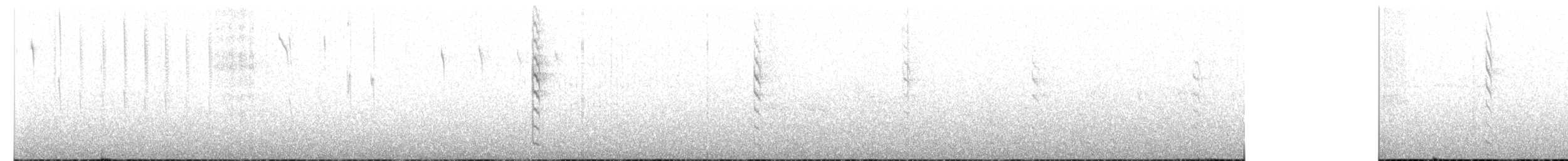 Бледнокрылый инка - ML616522862