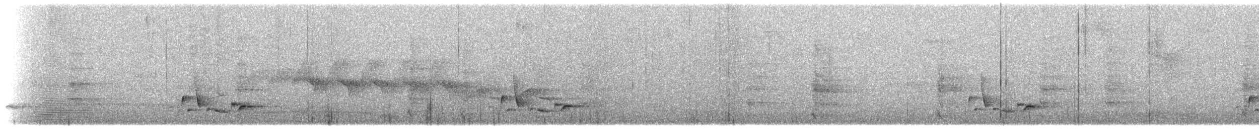 Белобрюхий крапивник - ML616523971