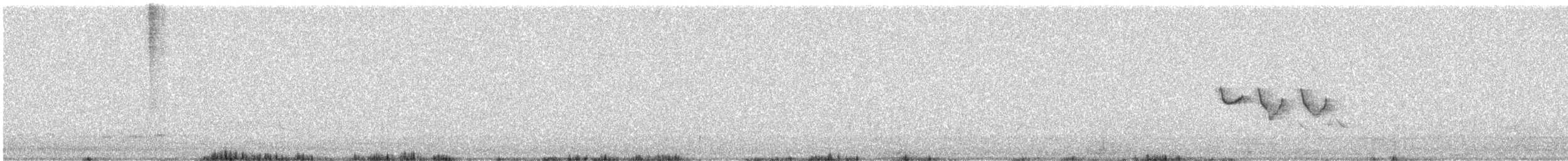 Gila Woodpecker - ML616524138
