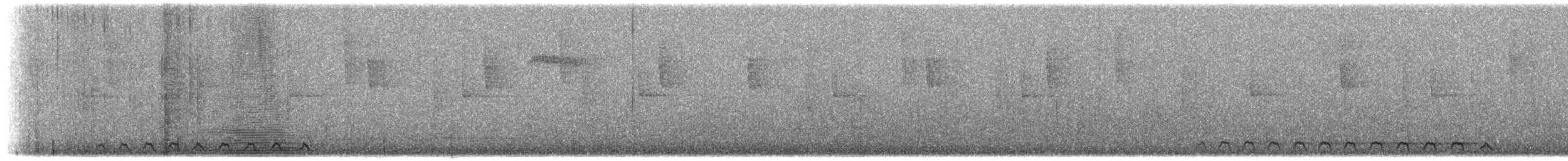 Trogon montagnard - ML616524198