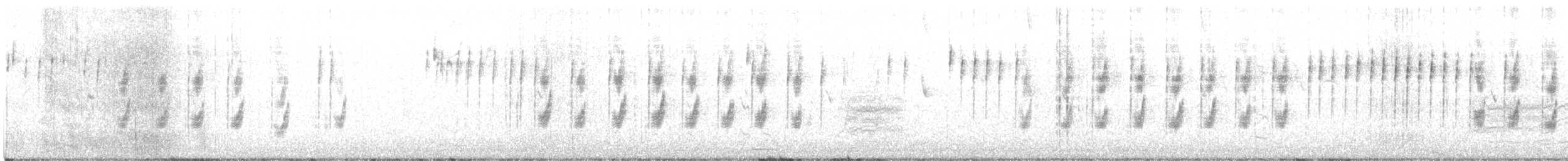 Bell's Sparrow (belli) - ML616525118