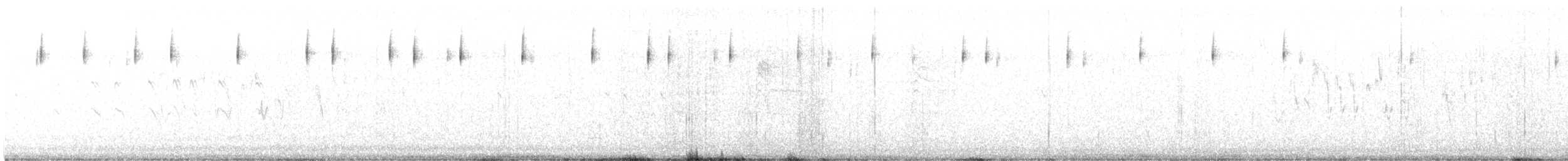 Bell's Sparrow (belli) - ML616525120