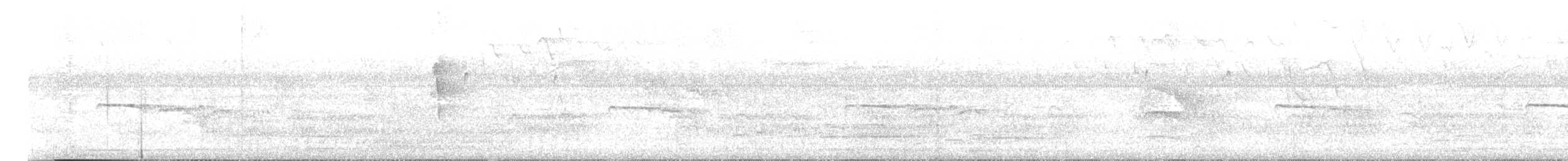 Güneyli Bıyıksız Tiranulet - ML616527031