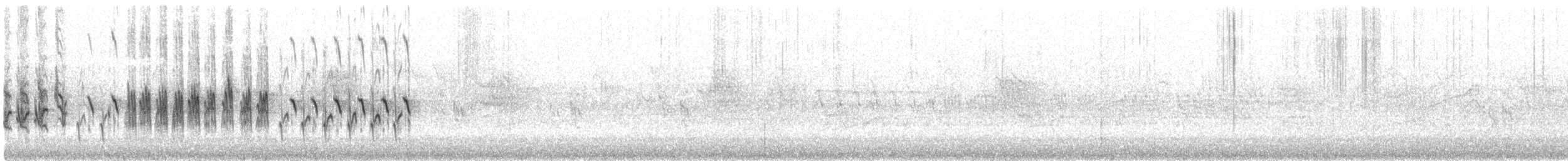 křivka bělokřídlá - ML616529101