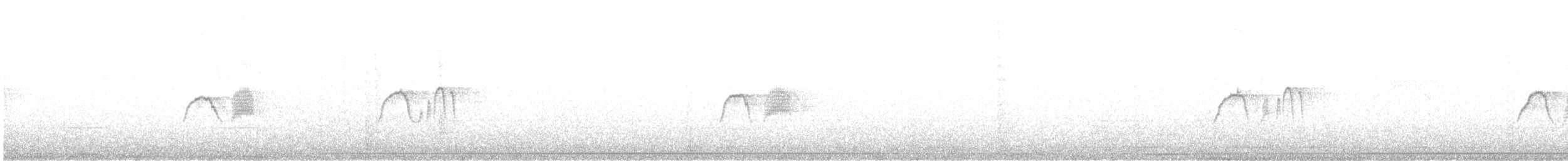 Светлобрюхий фиби - ML616530652