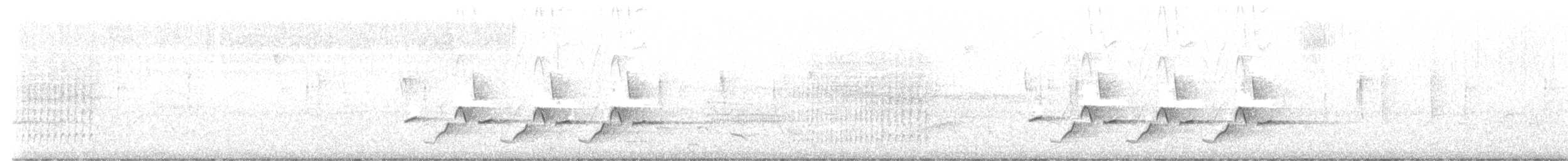Каролинский крапивник - ML616531511