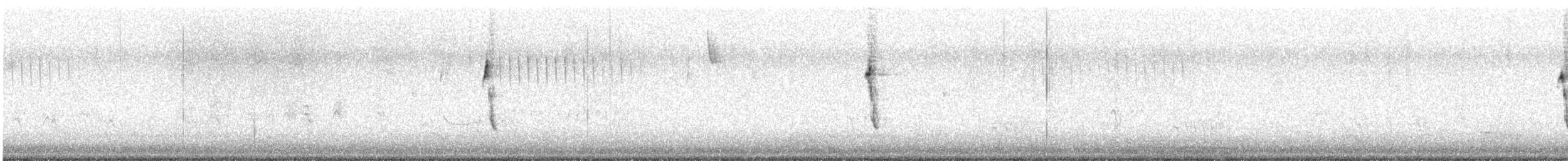 フタスジスズメモドキ - ML616531617