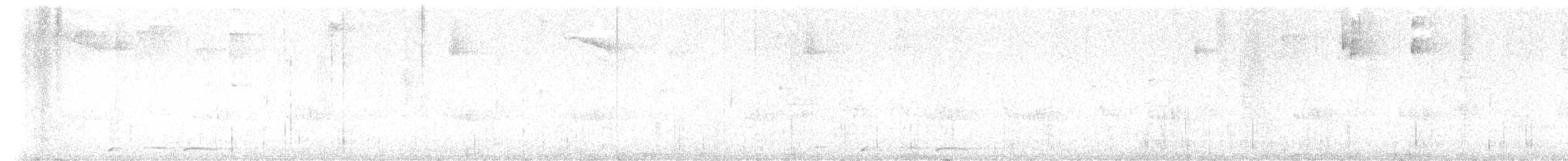 Голуб коста-риканський - ML616531957