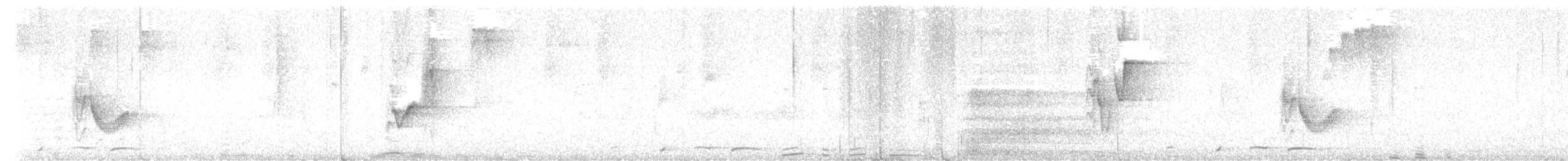 Віреон коста-риканський - ML616532230