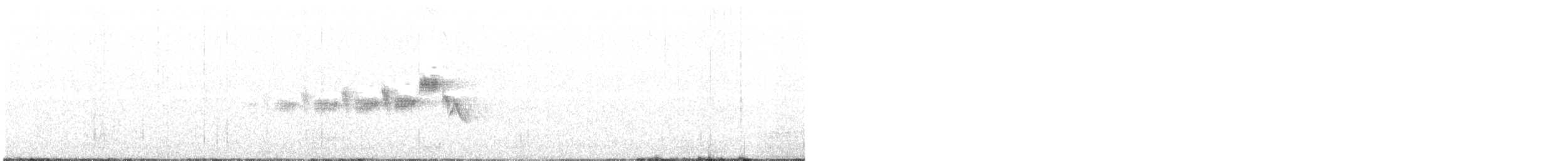 Paruline grise - ML616532644