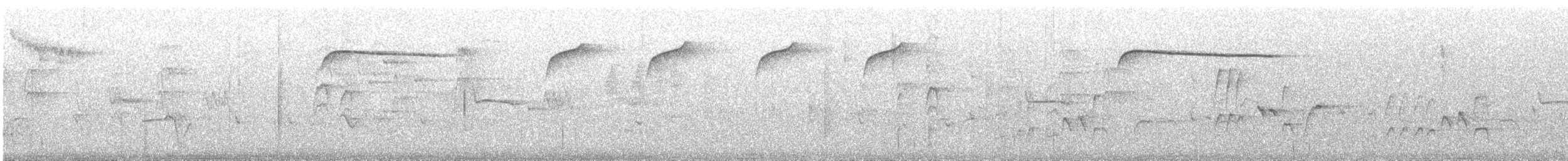 Spotted Quail-thrush - ML616533292