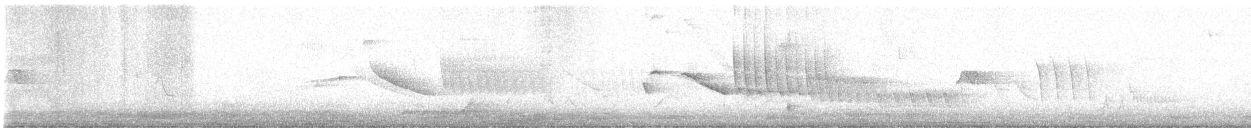 Rufous-collared Sparrow - ML616534600