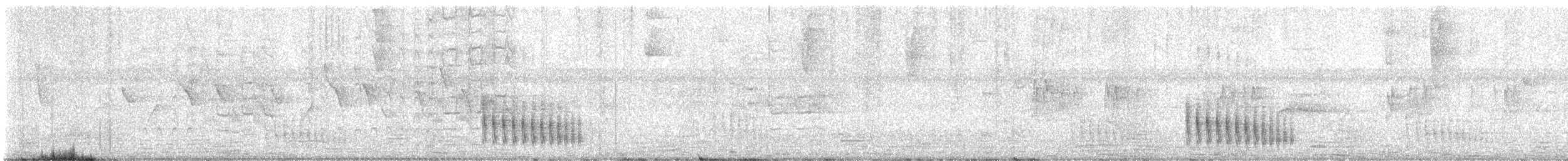 Grauschwanz-Dickichtschlüpfer - ML616534704