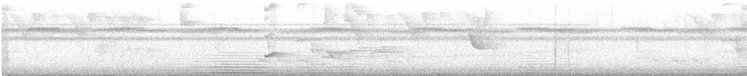 Тиранчик-чубань західний - ML616534705