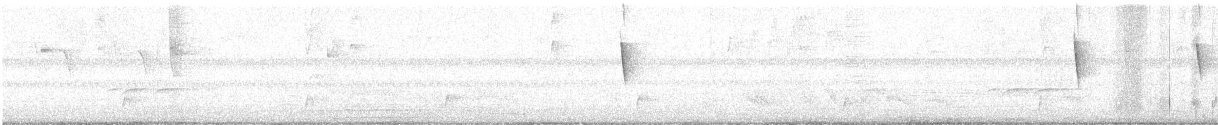 Bay-breasted Warbler - ML616535327