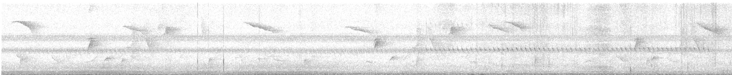 Swainson's Thrush - ML616535585