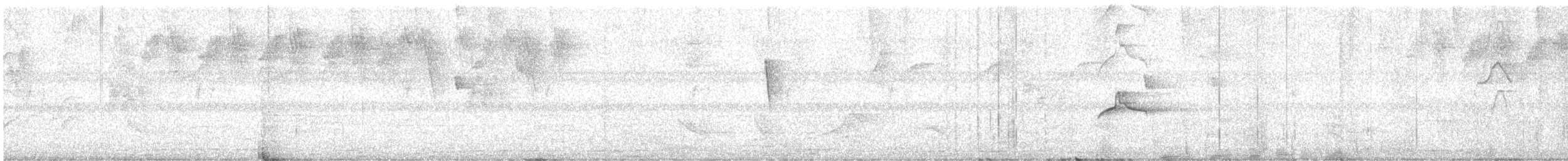 Bananaquit - ML616535750