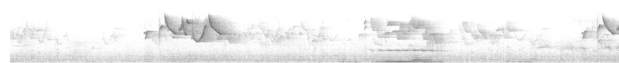 Gray-hooded Warbler - ML616535922