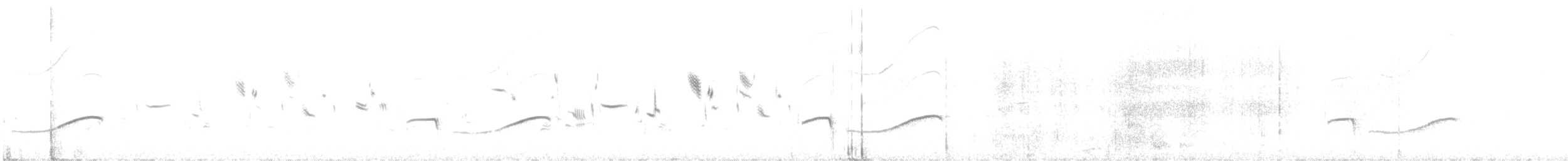 太平洋金斑鴴 - ML616535927