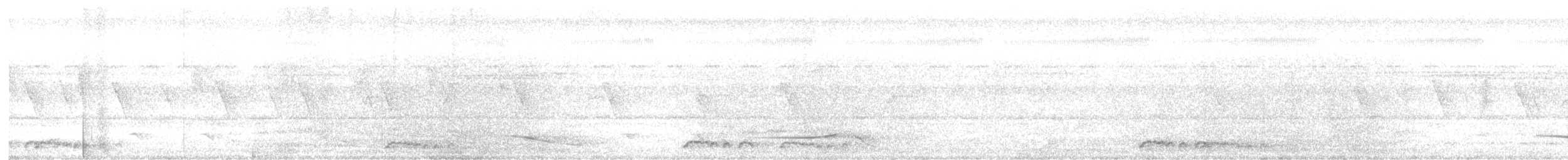 holoubek vlnkovaný - ML616536005