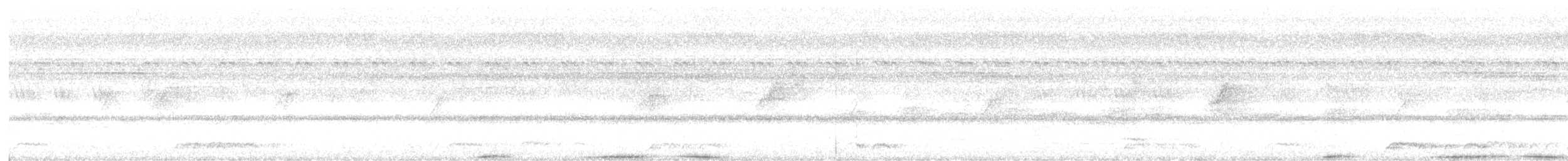 holub dvoubarvý - ML616536008