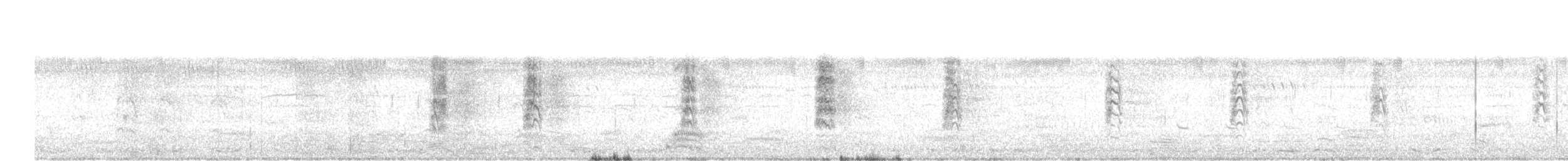 חרטומית חדת-זנב - ML616542198