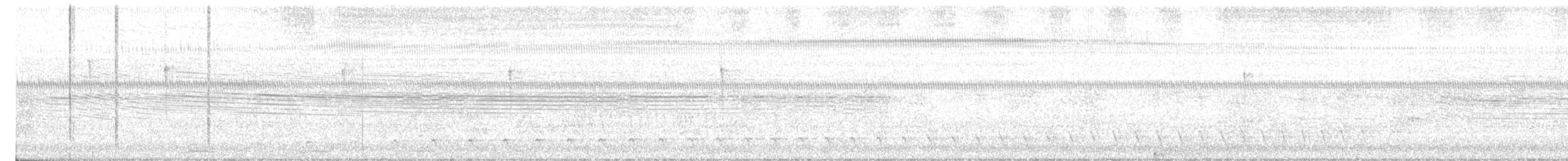 Weißbrust-Ameisenwürger - ML616542764