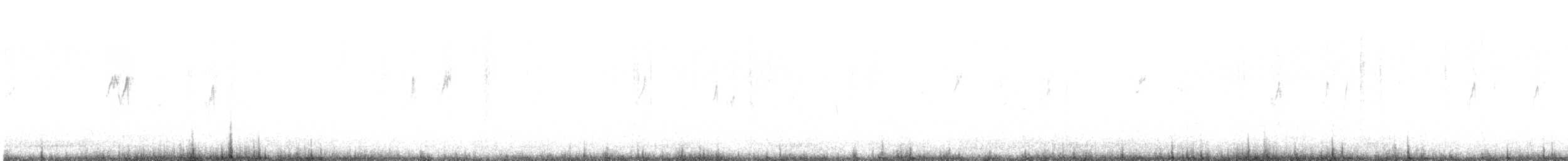Pipit spioncelle - ML616543281