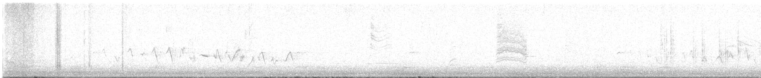 Northern House Wren (Northern) - ML616546791