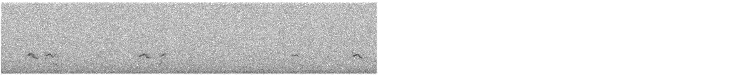 Little Ringed Plover - ML616547634