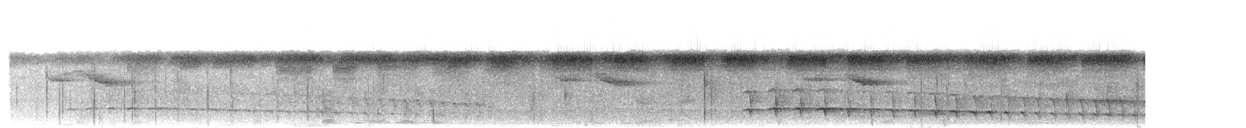 Olivgrau-Ameisenvogel - ML616549920