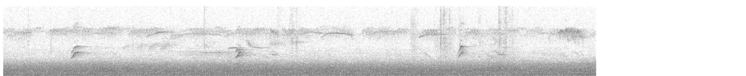 Oriole masqué - ML616550197