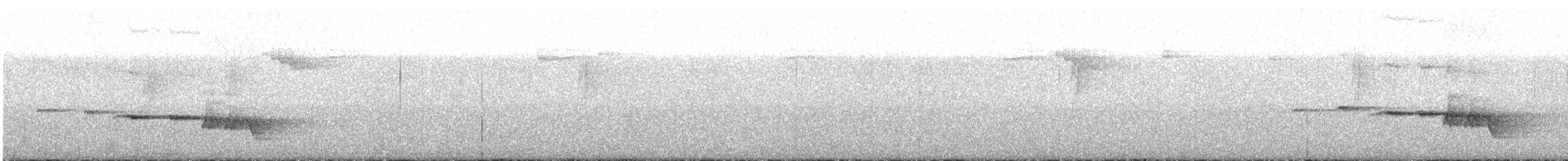 Gray-bellied Tesia - ML616550349