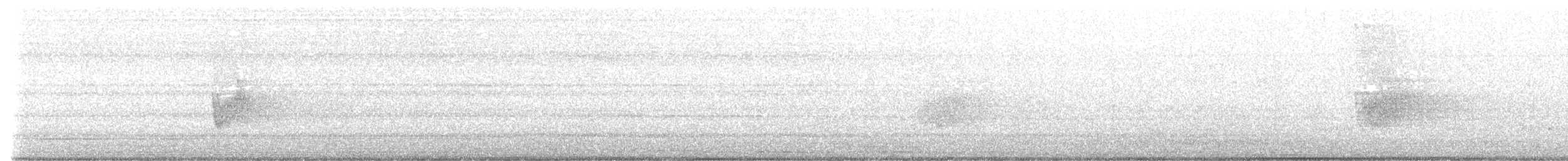 Savannennachtschwalbe - ML616550352