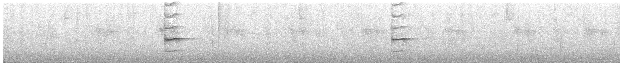 Grallaire d'Urrao - ML616550602