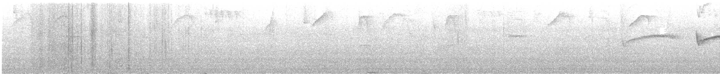 Kestane Karınlı Bülbül Tiranı - ML616550690
